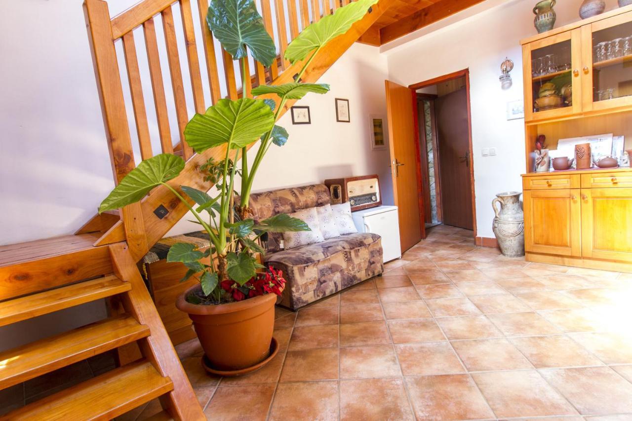 Holiday Home Juricko With Private Sauna Bizeljsko Kültér fotó