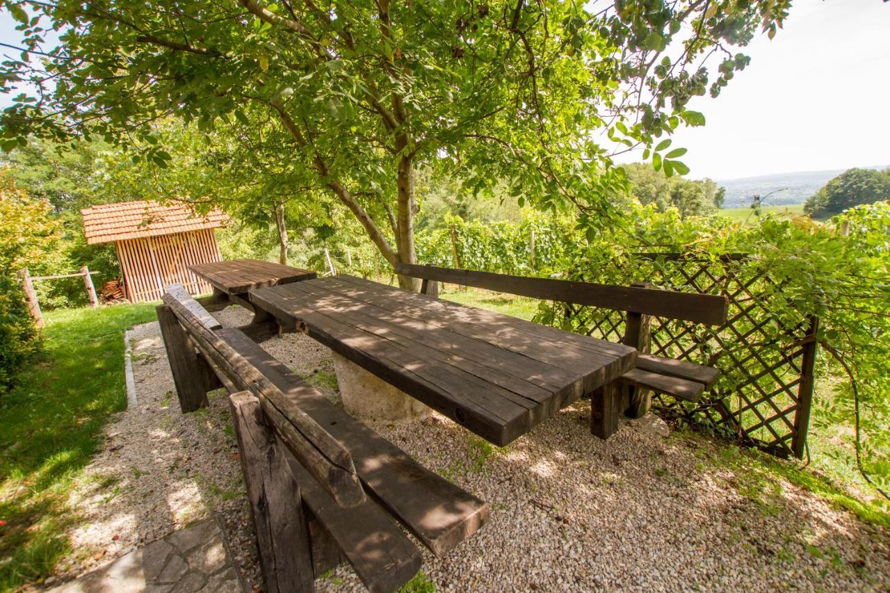 Holiday Home Juricko With Private Sauna Bizeljsko Kültér fotó