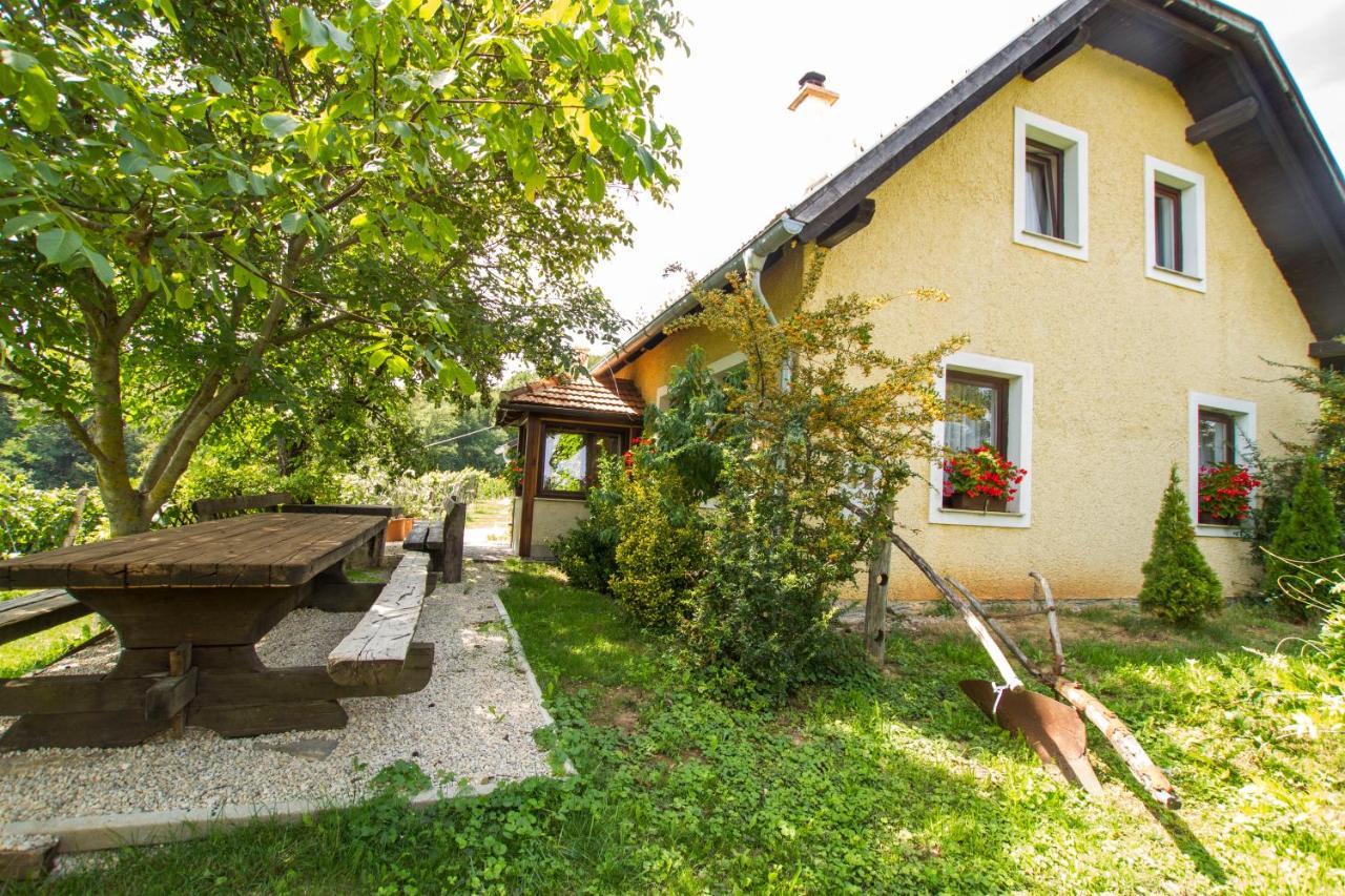 Holiday Home Juricko With Private Sauna Bizeljsko Kültér fotó